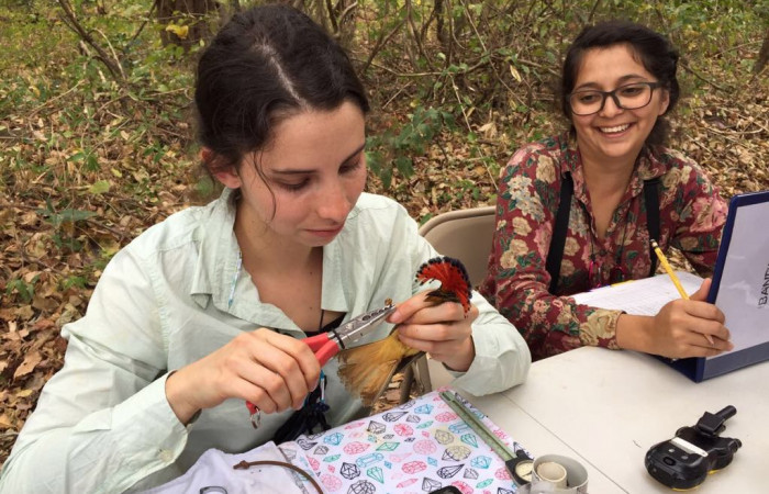 Estación Pitilla, febrero 2018, Fotografía: aría Alejandra Meneses 