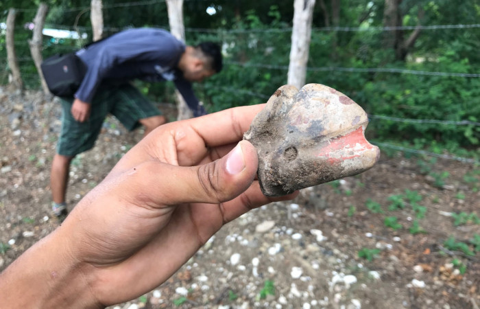 grupo juvenil Yaji Yazra Majimi  Conchero Refugio Natural de Vida Silvestre Bahía Junquillal