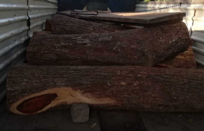 03 de octubre 2019  Foto: Brigada de Control, Seguimiento y Aprovechamiento Forestal del ACG  Bagaces