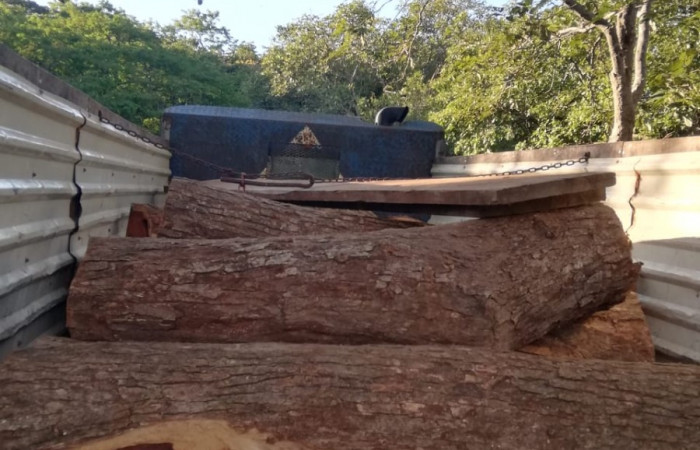 03 de octubre 2019  Foto: Brigada de Control, Seguimiento y Aprovechamiento Forestal del ACG  Bagaces