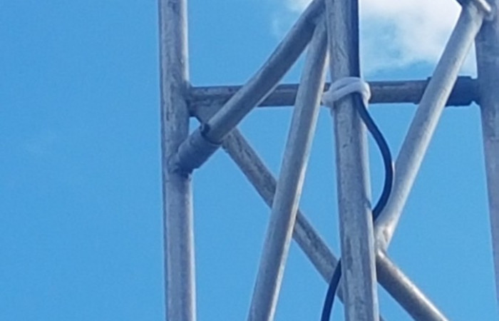 3 de noviembre 2019  Foto: Ronal Quirós