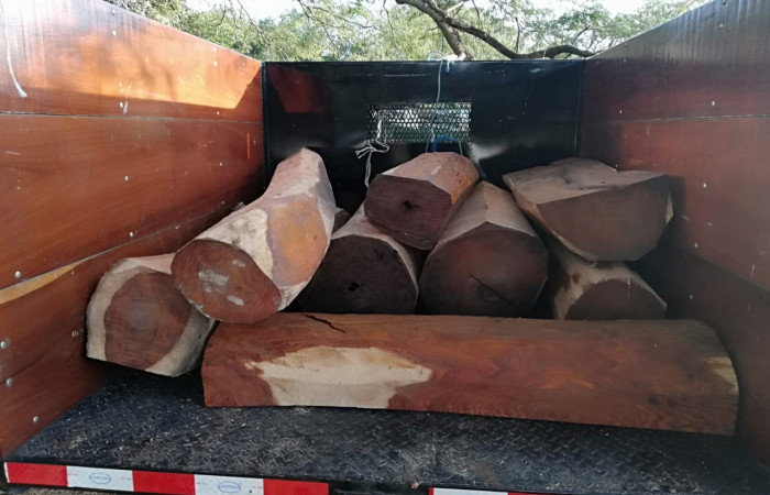 21 de noviembre 2019  Antiguas Cabinas el Delfín, Liberia Guanacaste  Foto: BCAF.PSA