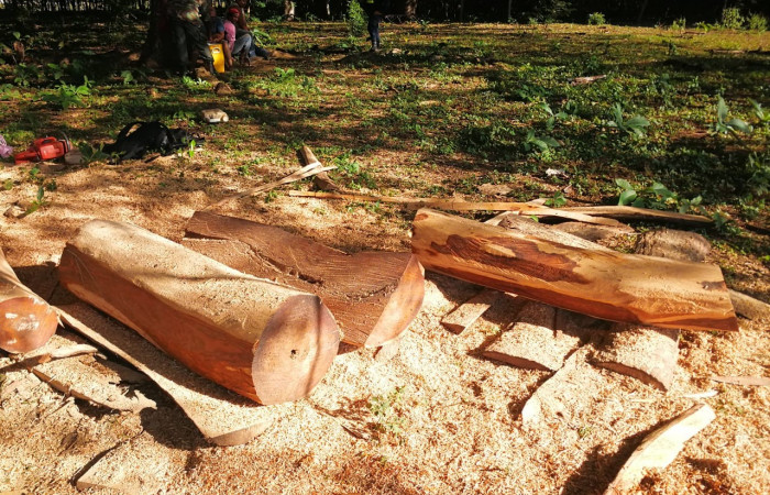 21 de noviembre 2019  Antiguas Cabinas el Delfín, Liberia Guanacaste  Foto: BCAF.PSA