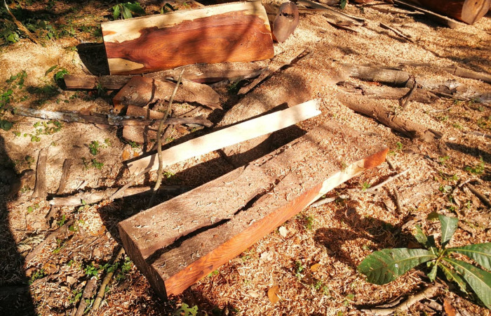 21 de noviembre 2019  Antiguas Cabinas el Delfín, Liberia Guanacaste  Foto: BCAF.PSA