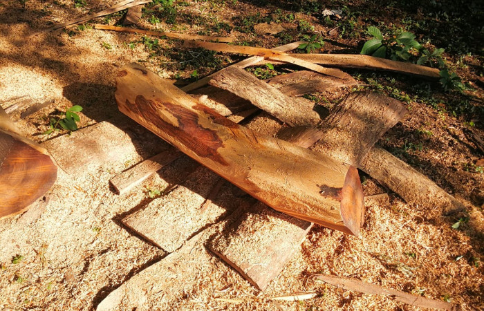 21 de noviembre 2019  Antiguas Cabinas el Delfín, Liberia Guanacaste  Foto: BCAF.PSA