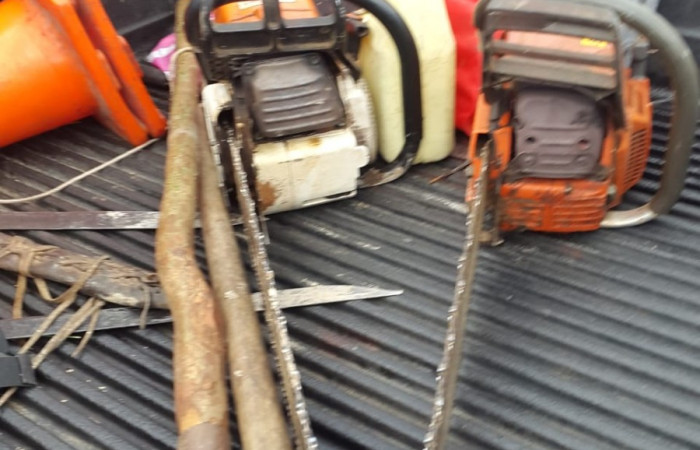 4 de diciembre 2019 Foto: Brigada de Control y Seguimiento Aprovechamiento Forestal (BCAF.PSA) Finca ubicada en Bella Vista de Santa Cecilia de la Cruz Gte