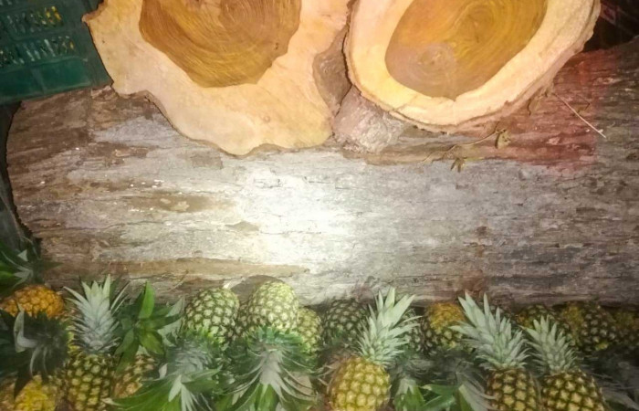 Barrio Jesús de Cañas Guanacaste  29 de diciembre 2019  Fotos: ACAT - ACG