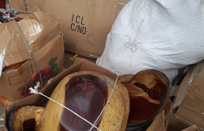 29, 30 de enero 2020 Foto: ACAT -ACG Las Juntas de Abangares y Chomes de Puntarenas