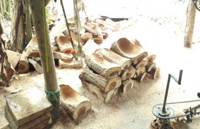 29 de enero 2020 Foto: ACAT