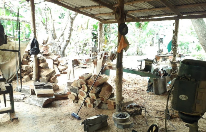 29 de enero 2020 Foto: ACAT