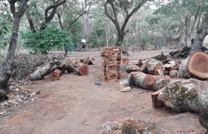 29 de enero 2020 Foto: ACAT