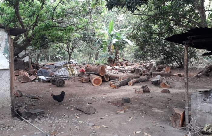 29 de enero 2020 Foto: ACAT