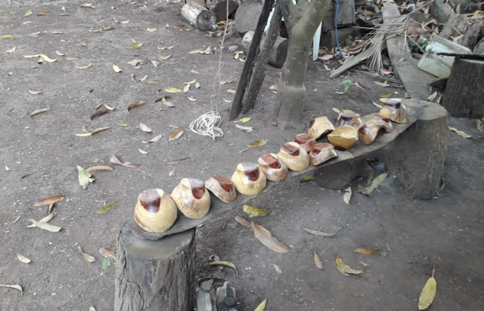 29, 30 de enero 2020 Foto: ACAT -ACG Las Juntas de Abangares y Chomes de Puntarenas