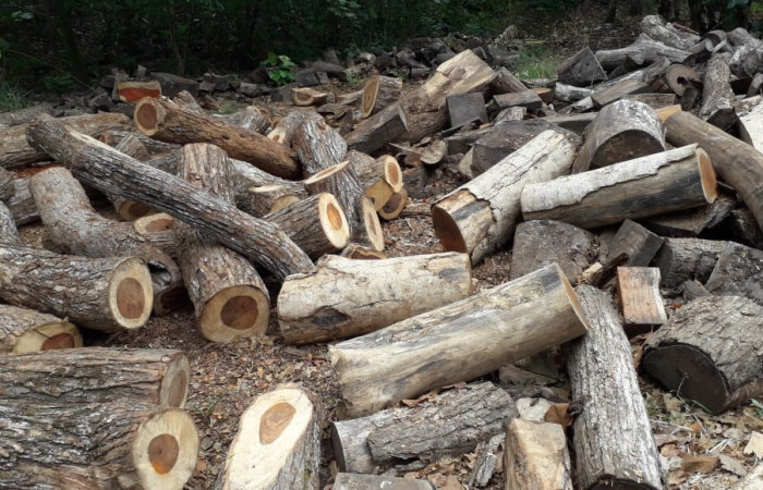 29, 30 de enero 2020 Foto: ACAT -ACG Las Juntas de Abangares y Chomes de Puntarenas