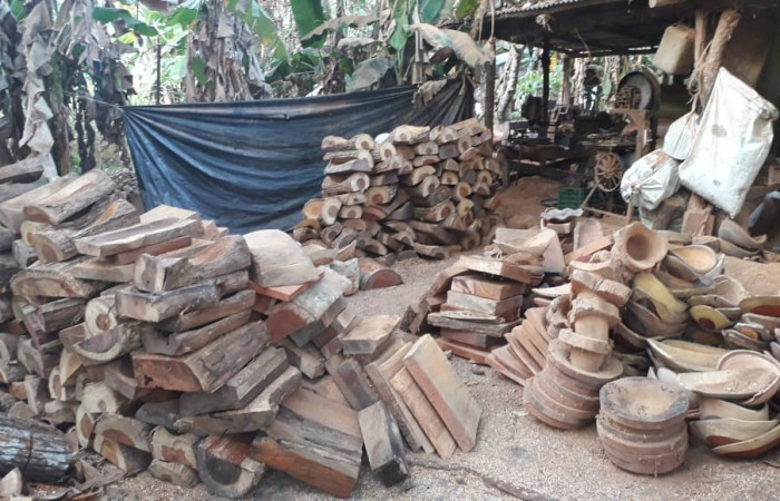 29 de enero 2020 Foto: ACAT