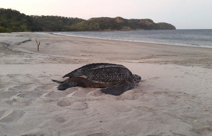 foto: Karla Hernández