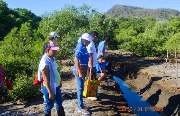 31 de enero 2020  Foto: Olger Vega