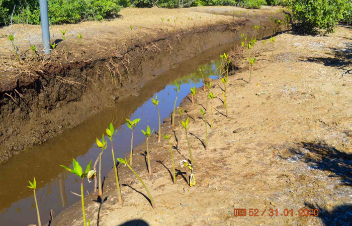 31 de enero 2020  Foto: Olger Vega