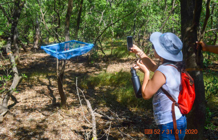 31 de enero 2020  Foto: Olger Vega