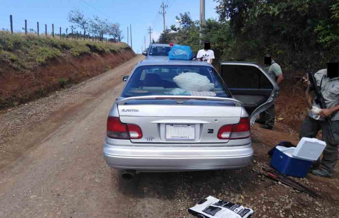 Los Ángeles de Quebrada Grande de Liberia  Domingo 16 febrero 2020  Foto: Brigada de Control, Seguimiento y Aprovechamiento Forestal (BCAF.PSA)