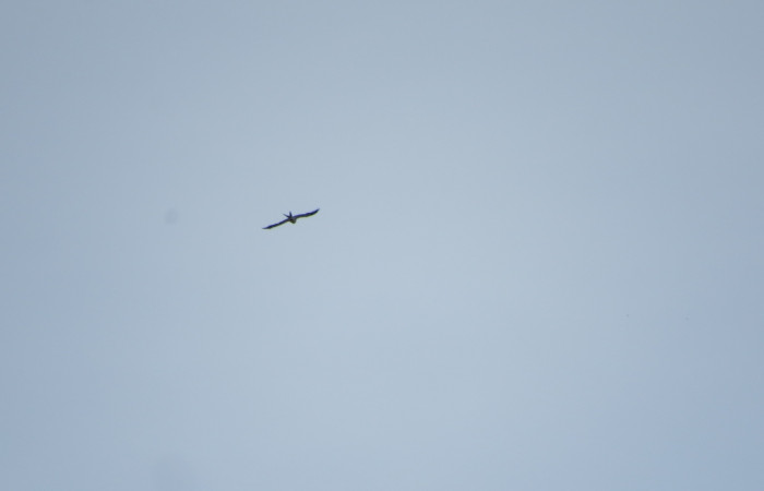 Ascenso a cráter 2, Volcán Rincón de la Vieja el 26 de junio del 2017, Fotografía: Christian Zúñiga Gutiérrez