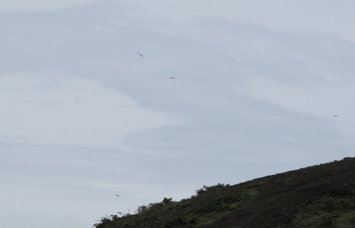 Ascenso a cráter 2, Volcán Rincón de la Vieja el 26 de junio del 2017, Fotografía: Christian Zúñiga Gutiérrez
