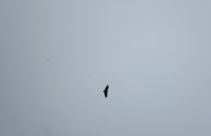Ascenso a cráter 2, Volcán Rincón de la Vieja el 26 de junio del 2017, Fotografía: Christian Zúñiga Gutiérrez