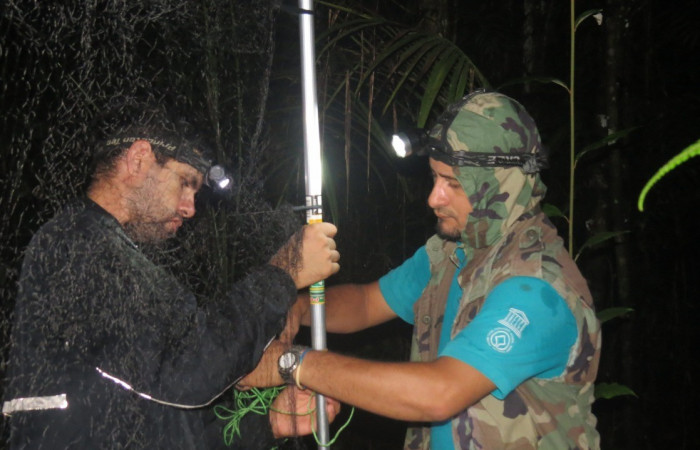 Participación de parataxónomos Foto: Eduardo Artavia 2019