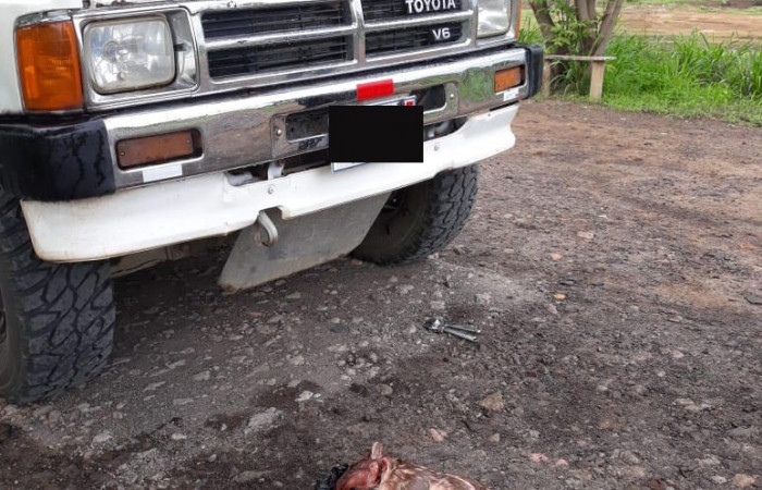 La Cueva Liberia Guanacaste  6 de junio 2020  Foto: (BCAF.PSA)