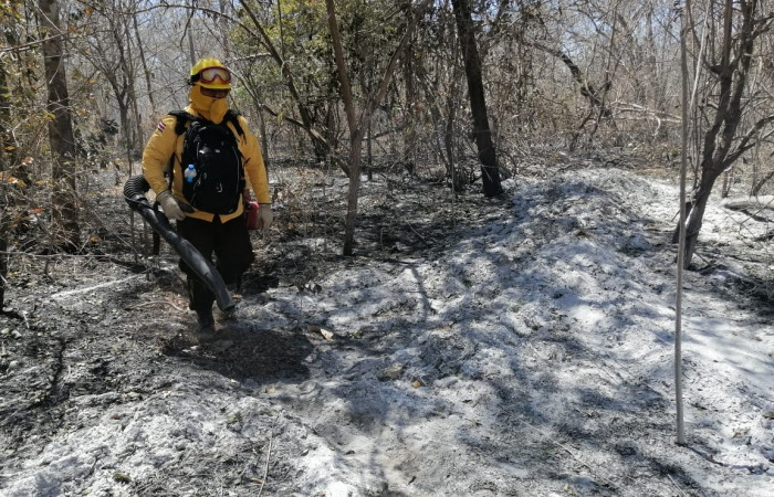 Abril 2020  EEFH  Foto: Brigada EEFH