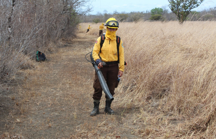 Sector Santa Rosa  Abril 2020  Foto: Programa Manejo del Fuego