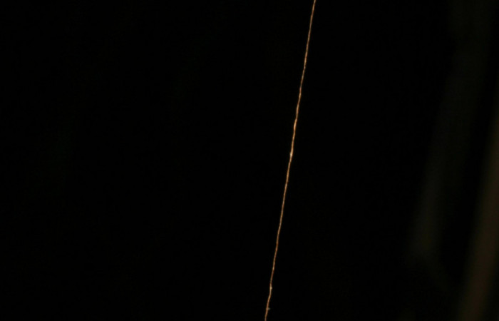 Fig.12. Capullo de Parásito de la familia (Ichneumonidae), en <i>Hypoleria rhene</i>. Voucher : 05-SRNP-33766-DHJ410119.jpg.