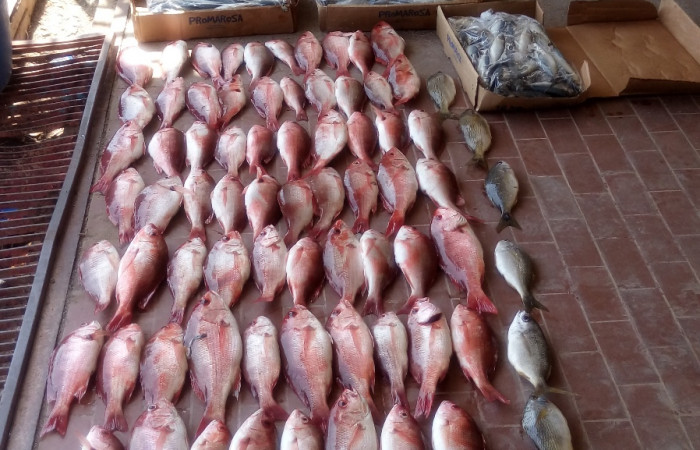 Parque Nacional Santa Rosa, Playa Naranjo, 14 de marzo 2018, Fotografía: Programa Prevención Protección y Control de ACG
