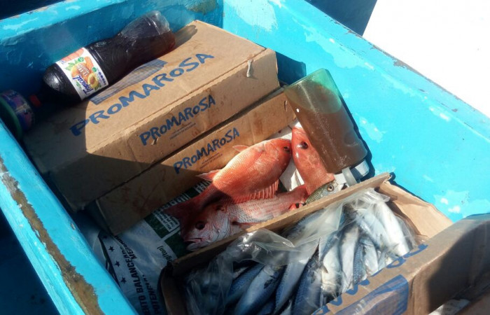 Parque Nacional Santa Rosa, Playa Naranjo, 14 de marzo 2018, Fotografía: Programa Prevención Protección y Control de ACG