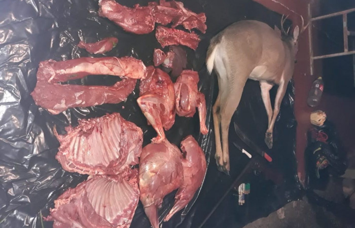 Sector Murciélago  27 de junio 2020  Foto: Brigada de Control y Protección ASP