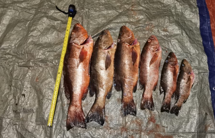 Sector Marino ACG  8 de julio 2020  Foto:  Brigada de Control Marino Costero