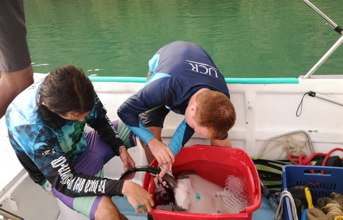 Proyecto monitoreo de rayas y tiburones en Bahía Santa Elena, 7 setiembre 2018, Fotografía: Daniela Masís