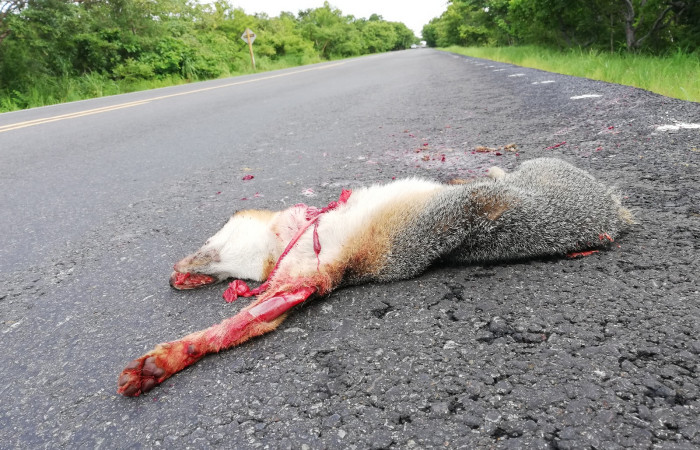 29 de setiembre 2018, Foto: Melissa Espinoza