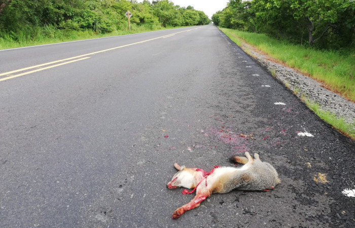 29 de setiembre 2018, Foto: Melissa Espinoza