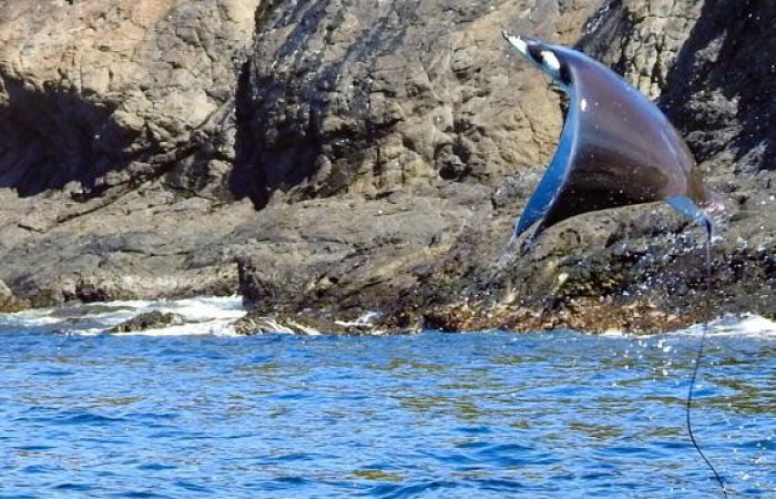 Islas Murciélago, 19 de octubre 2020, Foto, Cristhian Zúñiga