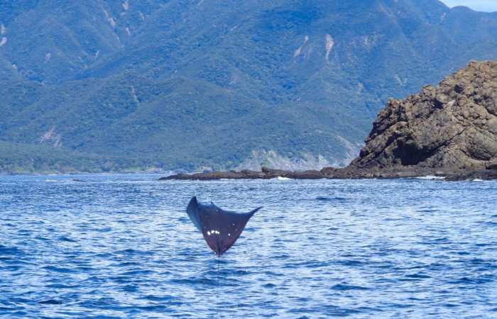 Islas Murciélago, 19 de octubre 2020, Foto, Cristhian Zúñiga