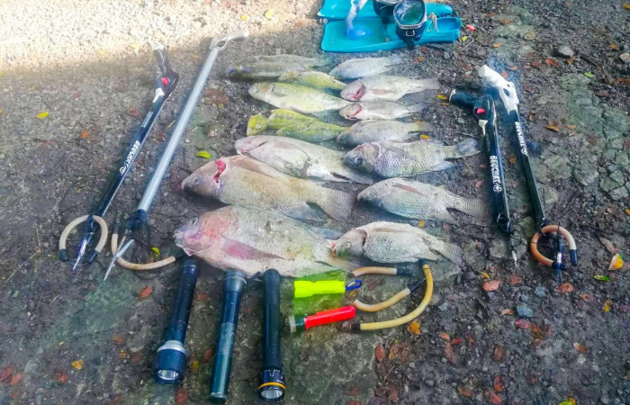 23-24 de octubre 2020 Foto: Programa de Control ACAT