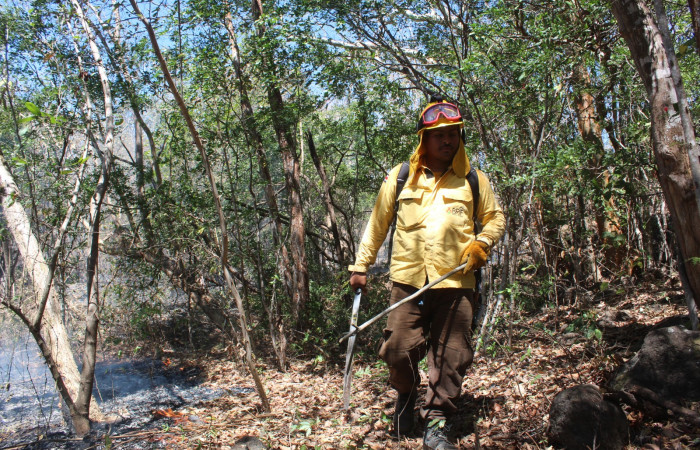 Francisco Cortez   Parque Nacional Guanacaste   6 de marzo 2021  Foto: Melissa Espinoza