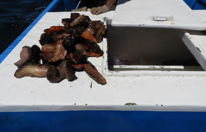 10 de Marzo 2018, Sector Marino del Sector Santa Rosa (Parque Nacional Santa Rosa), Fotografía: Programa Prevención Protección y Control de ACG