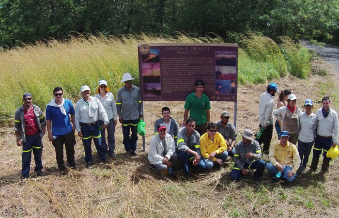 Parcela demostrativa El Príncipe, Parque Nacional Santa Rosa, Foto: ACG