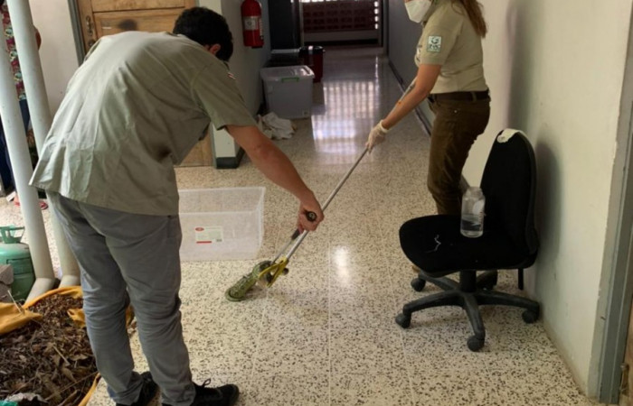 (PMCVS)  25 de abril 2021  Oficina Subregional Liberia, Guanacaste  Foto: PMCVS