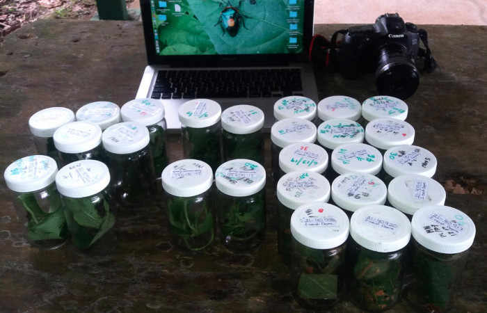 Figura 2. Equipo de trabajo para el proyecto de la investigación de las larvas. Foto, Pablo Umaña, 22 de Abril del 2021.