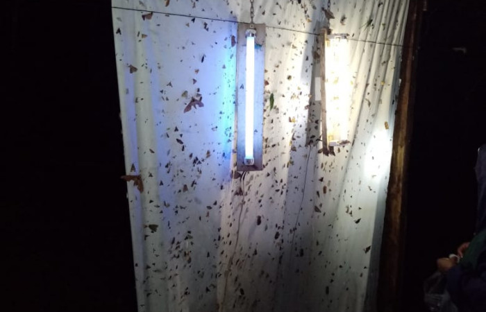 Figura 20. Manta con luces para atraer adultos de diferentes especies de Lepidoptera.  Foto, Harry Ramírez.