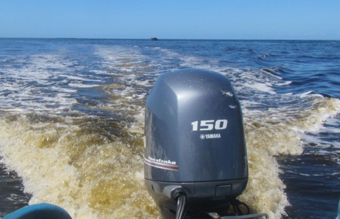 6 noviembre 2018, Foto: María Martha Chavarría