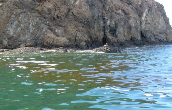 6 noviembre 2018, Foto: María Martha Chavarría